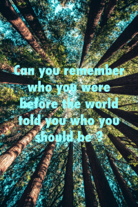 Remember your true potential, your true skills and create your purpose. The world is waiting for your wisdom and knowledge you definitely have because of your life experience.